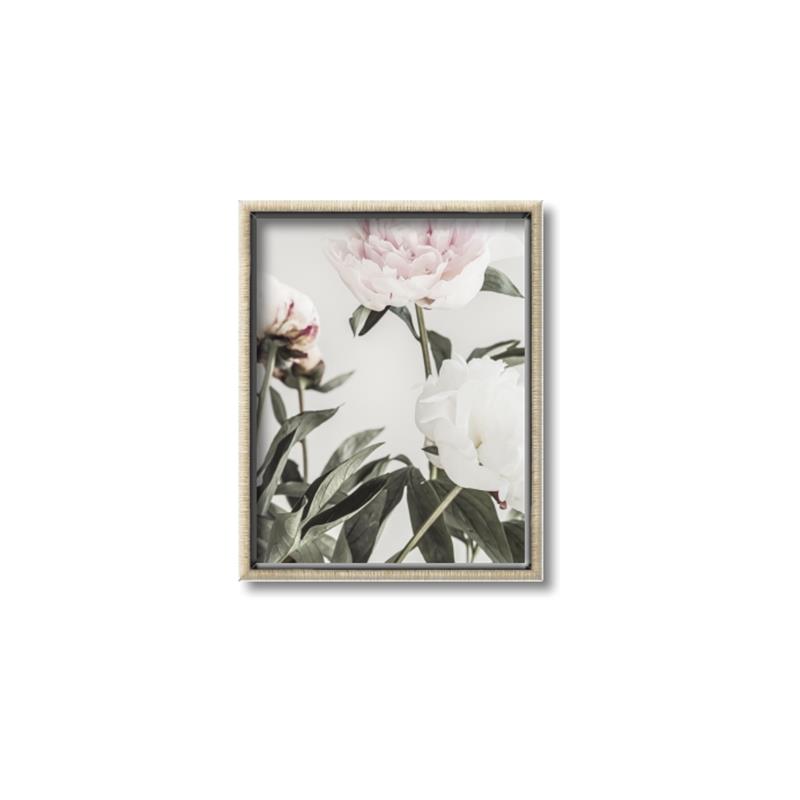 Picture of Romantic Blur Peony V _GroupedProduct_Rectangle_Portrait_Photography _GroupedProduct_Rectangle_Portrait_Canvas_Framed_