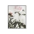 Picture of Romantic Blur Peony V _GroupedProduct_Rectangle_Portrait_Photography _GroupedProduct_Rectangle_Portrait_Canvas_Framed_