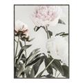 Picture of Romantic Blur Peony V _GroupedProduct_Rectangle_Portrait_Photography _GroupedProduct_Rectangle_Portrait_Canvas_Framed_