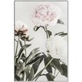 Picture of Romantic Blur Peony V _GroupedProduct_Rectangle_Portrait_Photography _GroupedProduct_Rectangle_Portrait_Canvas_Framed_