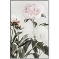 Picture of Romantic Blur Peony V _GroupedProduct_Rectangle_Portrait_Photography _GroupedProduct_Rectangle_Portrait_Canvas_Framed_