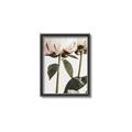 Picture of Romantic Blur Peony IV _GroupedProduct_Rectangle_Portrait_Photography _GroupedProduct_Rectangle_Portrait_Canvas_Framed_
