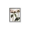 Picture of Romantic Blur Peony IV _GroupedProduct_Rectangle_Portrait_Photography _GroupedProduct_Rectangle_Portrait_Canvas_Framed_