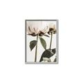 Picture of Romantic Blur Peony IV _GroupedProduct_Rectangle_Portrait_Photography _GroupedProduct_Rectangle_Portrait_Canvas_Framed_