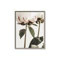 Picture of Romantic Blur Peony IV _GroupedProduct_Rectangle_Portrait_Photography _GroupedProduct_Rectangle_Portrait_Canvas_Framed_