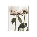 Picture of Romantic Blur Peony IV _GroupedProduct_Rectangle_Portrait_Photography _GroupedProduct_Rectangle_Portrait_Canvas_Framed_
