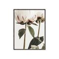 Picture of Romantic Blur Peony IV _GroupedProduct_Rectangle_Portrait_Photography _GroupedProduct_Rectangle_Portrait_Canvas_Framed_