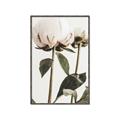 Picture of Romantic Blur Peony IV _GroupedProduct_Rectangle_Portrait_Photography _GroupedProduct_Rectangle_Portrait_Canvas_Framed_