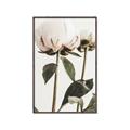 Picture of Romantic Blur Peony IV _GroupedProduct_Rectangle_Portrait_Photography _GroupedProduct_Rectangle_Portrait_Canvas_Framed_