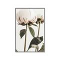 Picture of Romantic Blur Peony IV _GroupedProduct_Rectangle_Portrait_Photography _GroupedProduct_Rectangle_Portrait_Canvas_Framed_