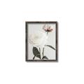Picture of Romantic Blur Peony III _GroupedProduct_Rectangle_Portrait_Photography _GroupedProduct_Rectangle_Portrait_Canvas_Framed_