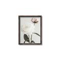 Picture of Romantic Blur Peony III _GroupedProduct_Rectangle_Portrait_Photography _GroupedProduct_Rectangle_Portrait_Canvas_Framed_