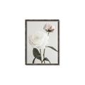 Picture of Romantic Blur Peony III _GroupedProduct_Rectangle_Portrait_Photography _GroupedProduct_Rectangle_Portrait_Canvas_Framed_