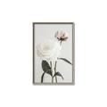 Picture of Romantic Blur Peony III _GroupedProduct_Rectangle_Portrait_Photography _GroupedProduct_Rectangle_Portrait_Canvas_Framed_