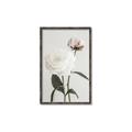 Picture of Romantic Blur Peony III _GroupedProduct_Rectangle_Portrait_Photography _GroupedProduct_Rectangle_Portrait_Canvas_Framed_