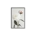 Picture of Romantic Blur Peony III _GroupedProduct_Rectangle_Portrait_Photography _GroupedProduct_Rectangle_Portrait_Canvas_Framed_