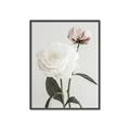 Picture of Romantic Blur Peony III _GroupedProduct_Rectangle_Portrait_Photography _GroupedProduct_Rectangle_Portrait_Canvas_Framed_