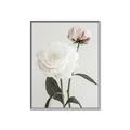 Picture of Romantic Blur Peony III _GroupedProduct_Rectangle_Portrait_Photography _GroupedProduct_Rectangle_Portrait_Canvas_Framed_
