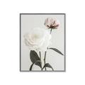 Picture of Romantic Blur Peony III _GroupedProduct_Rectangle_Portrait_Photography _GroupedProduct_Rectangle_Portrait_Canvas_Framed_