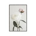 Picture of Romantic Blur Peony III _GroupedProduct_Rectangle_Portrait_Photography _GroupedProduct_Rectangle_Portrait_Canvas_Framed_