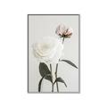 Picture of Romantic Blur Peony III _GroupedProduct_Rectangle_Portrait_Photography _GroupedProduct_Rectangle_Portrait_Canvas_Framed_