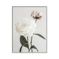 Picture of Romantic Blur Peony III _GroupedProduct_Rectangle_Portrait_Photography _GroupedProduct_Rectangle_Portrait_Canvas_Framed_