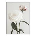 Picture of Romantic Blur Peony III _GroupedProduct_Rectangle_Portrait_Photography _GroupedProduct_Rectangle_Portrait_Canvas_Framed_