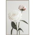 Picture of Romantic Blur Peony III _GroupedProduct_Rectangle_Portrait_Photography _GroupedProduct_Rectangle_Portrait_Canvas_Framed_