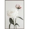 Picture of Romantic Blur Peony III _GroupedProduct_Rectangle_Portrait_Photography _GroupedProduct_Rectangle_Portrait_Canvas_Framed_