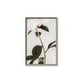 Picture of Romantic Blur Peony II _GroupedProduct_Rectangle_Portrait_Photography _GroupedProduct_Rectangle_Portrait_Canvas_Framed_