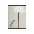 Picture of Romantic Blur Peony I _GroupedProduct_Rectangle_Portrait_Photography _GroupedProduct_Rectangle_Portrait_Canvas_Framed_