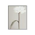 Picture of Romantic Blur Peony I _GroupedProduct_Rectangle_Portrait_Photography _GroupedProduct_Rectangle_Portrait_Canvas_Framed_