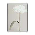 Picture of Romantic Blur Peony I _GroupedProduct_Rectangle_Portrait_Photography _GroupedProduct_Rectangle_Portrait_Canvas_Framed_