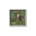 Picture of Tropical Paradise Toucan Bird _GroupedProduct_Square_Canvas_Framed_
