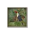 Picture of Tropical Paradise Toucan Bird _GroupedProduct_Square_Canvas_Framed_