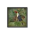 Picture of Tropical Paradise Toucan Bird _GroupedProduct_Square_Canvas_Framed_
