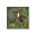 Picture of Tropical Paradise Toucan Bird _GroupedProduct_Square_Canvas_Framed_