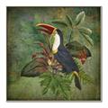 Picture of Tropical Paradise Toucan Bird _GroupedProduct_Square_Canvas_Framed_