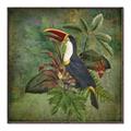 Picture of Tropical Paradise Toucan Bird _GroupedProduct_Square_Canvas_Framed_