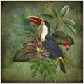 Picture of Tropical Paradise Toucan Bird _GroupedProduct_Square_Canvas_Framed_