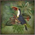 Picture of Tropical Paradise Toucan Bird _GroupedProduct_Square_Canvas_Framed_