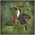 Picture of Tropical Paradise Toucan Bird _GroupedProduct_Square_Canvas_Framed_