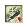 Picture of Tropical Paradise Birds Garden _GroupedProduct_Square_Canvas_Framed_