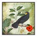 Picture of Tropical Paradise Birds Garden _GroupedProduct_Square_Canvas_Framed_