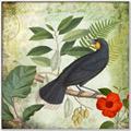 Picture of Tropical Paradise Birds Garden _GroupedProduct_Square_Canvas_Framed_