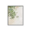 Picture of Few Olive Tree Leaves _GroupedProduct_Rectangle_Portrait_Photography _GroupedProduct_Rectangle_Portrait_Canvas_Framed_