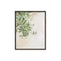 Picture of Few Olive Tree Leaves _GroupedProduct_Rectangle_Portrait_Photography _GroupedProduct_Rectangle_Portrait_Canvas_Framed_