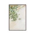 Picture of Few Olive Tree Leaves _GroupedProduct_Rectangle_Portrait_Photography _GroupedProduct_Rectangle_Portrait_Canvas_Framed_