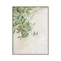 Picture of Few Olive Tree Leaves _GroupedProduct_Rectangle_Portrait_Photography _GroupedProduct_Rectangle_Portrait_Canvas_Framed_