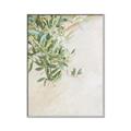Picture of Few Olive Tree Leaves _GroupedProduct_Rectangle_Portrait_Photography _GroupedProduct_Rectangle_Portrait_Canvas_Framed_